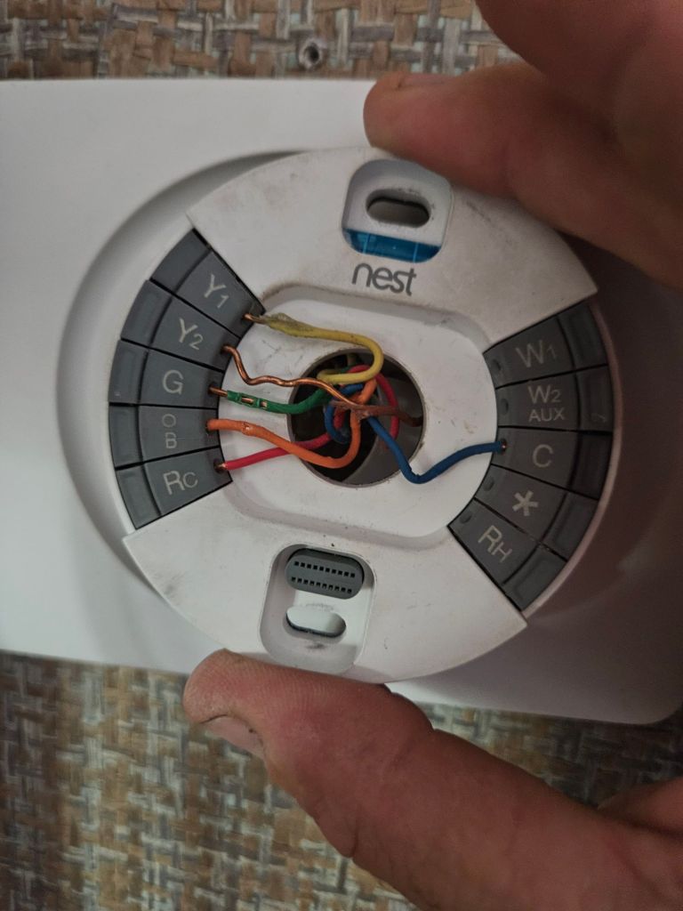 wp-17623169874532400866451776765309